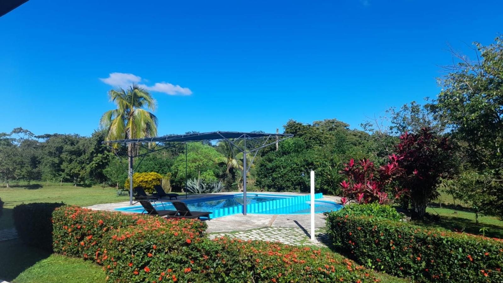 Hotel Los Leones Palenque Dış mekan fotoğraf